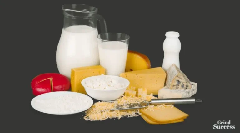 Cheese and Milk Business: How to Deliver High-Quality Dairy Products