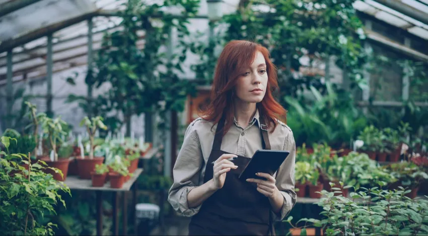 Automated Compost Systems